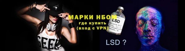 эйфоретик Алзамай