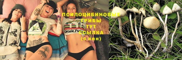 эйфоретик Алзамай