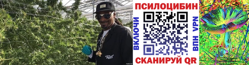 продажа наркотиков Лахденпохья Псилоцибиновые грибы мицелий