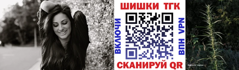 Конопля сатива  Лахденпохья 